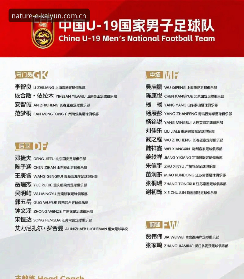 揭秘中国U19土伦杯表现：2胜2负背后的三个真相，与开云体育官网带来的全新视角