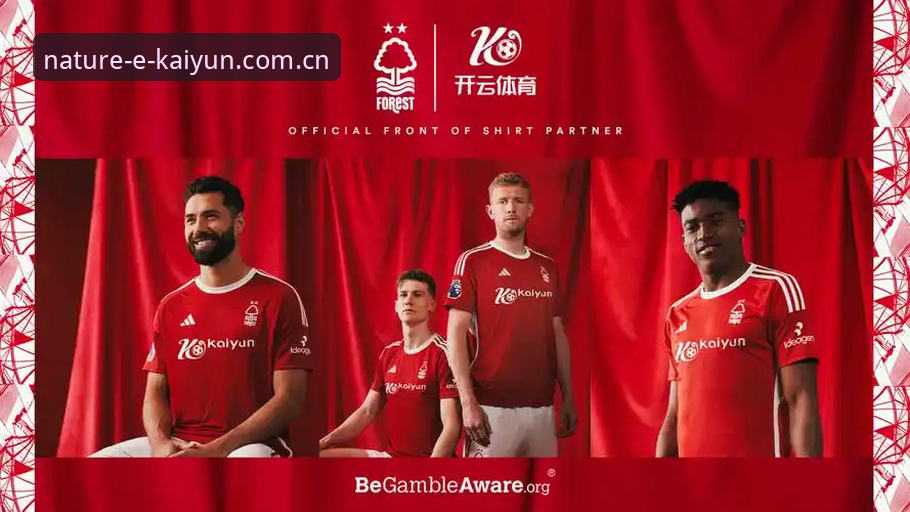 开云体育官网的“产品详情”比你想象的更有料——一份理性乐观派的全面解析